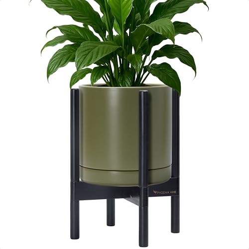 D'vine Dev Ceramic Pot with Ebony Wood Stand, Olive, 10 in, 55-B-L-J by DvineDevPlanterPotsandStand