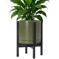 D'vine Dev Ceramic Pot with Ebony Wood Stand, Olive, 10 in, 55-B-L-J by DvineDevPlanterPotsandStand