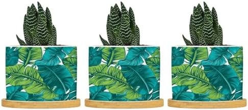 Turquoise Green Ceramic Planter Teal Blue Tropical Snake Plant Live Indoor with Pot with Drainage Holes and Saucers Pot for Home Office Decoration by BRUYU5SE