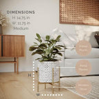 EverNest Tristan White with Black Boho Pattern Plant Pot with Loki Stand, SelectBase Indoor Planter, Neutral Home Decor, Minimalist Artistic Boho Plant Pot (Medium, Gold) - Image 2