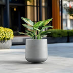 Kante Round Concrete Planter, 16.5-Inch Dia Barrel-Style Garden Pots with Drainage Hole for Home, Patio and Garden, Flower and Tree Planter (13.8" Opening), Gray - Image 4