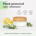 Azuna Home Odor Eliminator for Strong Odor | 4 Room Kit | Natural - Image 4