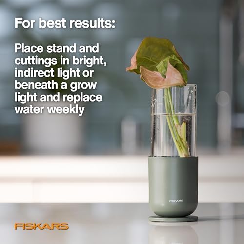 Fiskars Plant Propagation Set, Glass Vase Hydroponic Growing System, 3-Pack - Image 6