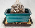 6" Rectangular Teal Green Bonsai Pot, Cactus & Succulent Planter + Soil + Tray + Rock + Mesh Kit by Unknown