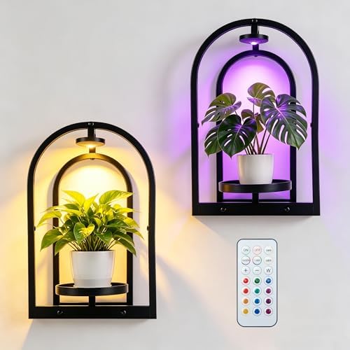 Hyindoor Wall Plant Holder with Grow Light & Remote Control, Wall planters for indoor plants, Wall Mounted Hanging Planter, Plant Wall Shelf Frame for Living Room, 2 Pack by Hyindoor
