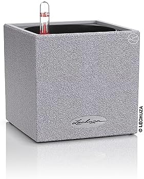 Lechuza Canto Stone 14 Stone Grey, Self-Watering Small Square Planter, H5.5 L5.5 W5.5 in by LECHUZA