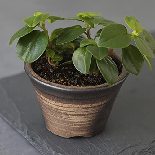 Wazakura Banko Series Small Handmade Rounded Ceramic Bonsai Pot - Image 4