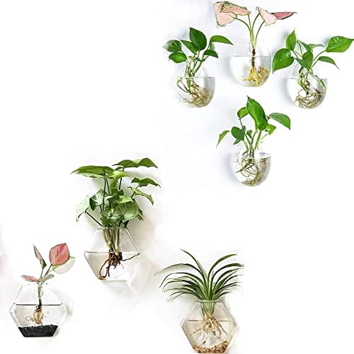 Kingbuy Wall Hanging Planter Glass Propagation Terrarium 3 Hexagon Shape and 4 Egg Shape Flower Vase for Home Office Christmas Decor by Kingbuy