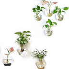 Kingbuy Wall Hanging Planter Glass Propagation Terrarium 3 Hexagon Shape and 4 Egg Shape Flower Vase for Home Office Christmas Decor by Kingbuy