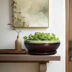 SQOWL Succulent Planters 10 Inch, Ceramic Bonsai Pots, Green-Brown - Image 5