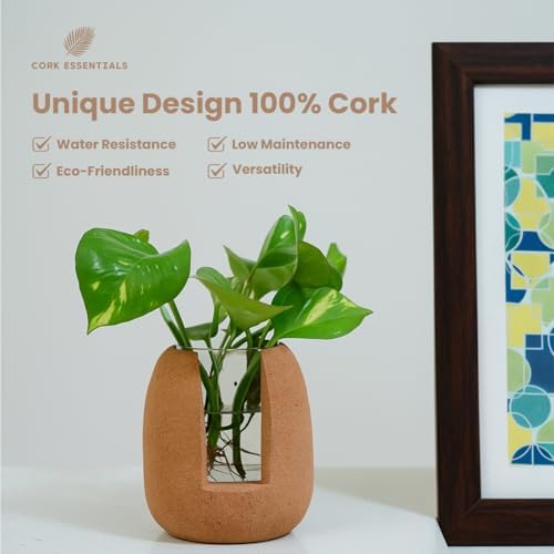 Natural Cork Oval Propagation Planter with Glass Vase - Image 2