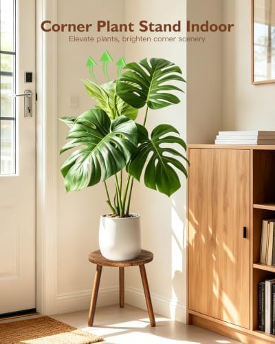 3-Pack Carbonized Wood Plant Stand Indoor, Round Flower Stand Set - Image 2