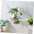 4pcs Wall Propagation Planters Glass Globe Hanging Terrarium Station Transparent Glass Vases for Hydroponics Plants Home Office Living Decor - Image 6