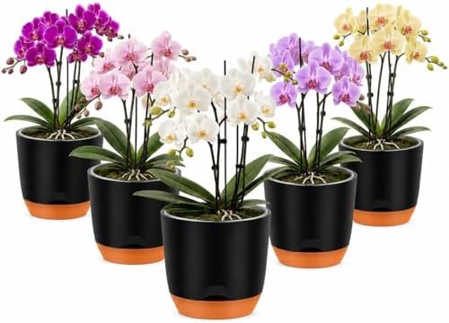 QCQHDU 7.2Inch Orchid Pots with Holes for Repotting, Double-Layer Plastic Self Watering Flower Pots for Indoor Plants with Drainage Holes, Clear Orchid Pot Match Decorative Orchid Container, 5 Packs by QCQHDU