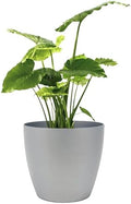 Memphis 15" Round Indoor Floor Planter Pot – Lightweight & Durable Plastic, Modern Design, Made in USA, Recyclable Large Plant Container for Home & Office Décor (Silver) by GreenlinePlanters