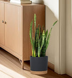 kubvici Plant Pots for Indoor Plants, 2 Pack 10 Inch Plant Pot(10" Black) - Image 6