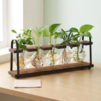 Plant Propagation Station Glass Metal Wood Desktop Bulb Vase - Image 2