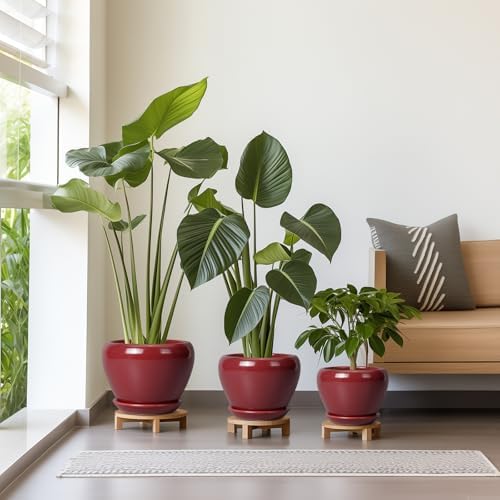 Ceramic Pots for Plants - 10 Inch 8 Inch 6 Inch Plant Pots with Drainage Holes and Saucers Large Planters for Indoor Plants Decorative Outdoor Flower Pots Set of 3 Red - Image 7