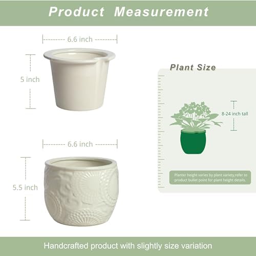 HERDUK 6.5” Ceramic Self Watering African Violet Planter with Embossed Floral Design – Durable Indoor Plant Pot for Orchids, Succulents, and Houseplants - Image 2