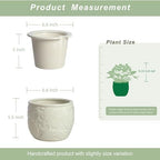 HERDUK 6.5” Ceramic Self Watering African Violet Planter with Embossed Floral Design – Durable Indoor Plant Pot for Orchids, Succulents, and Houseplants - Image 2