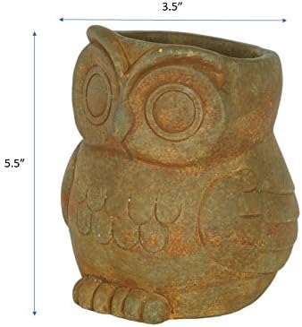 GROWSCAPE Cement Buddies Animal Planter - Cute Desk Decoration - UV Coated Animal Vase w/Removable Drain Plug - Succulent Planter for Indoor/Outdoor Use (Owl Planter, Rust, Large) - Image 2