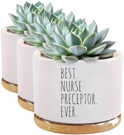 Best Nurse Preceptor Ever Nurse Gifts Ceramic Succulent Plant Pot with Bamboo Tray Round Nursing Student Assistant Nurse Home Office Decor Plant Lover 3.5 Inch White (No Plants) (Pack of 3) by Unknown