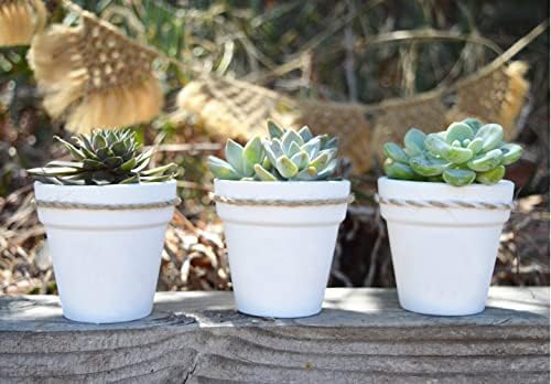 40 Pcs White Terracotta Pot - 2.5 Inch Mini Clay Pots with Drainage Holes Flower Nursery Terra Cotta Pots for Succulent Plants, Crafts, Wedding Baby Shower Favor - Image 4