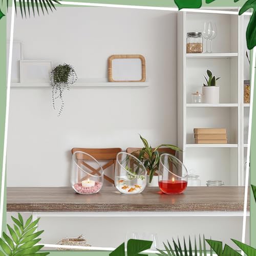 6 Pcs Clear Glass Air Plant Terrarium, 5 Inch Clear Glass Round Vases Succulent Cactus Plant Vase Plant Terrarium for Home Decor - Image 3