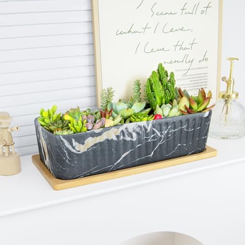 Succulent Pots, Large Shallow Rectangle Planters with Drainage Tray - Image 4
