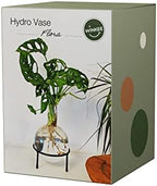 Winkee - Hydrovase Flora | Flower Vase with Metal Stand | Table Planter | Modern Decoration | Glass Propagation Station | Cut-Out Plants Glass | Root Glass Vase | Gift for Mother's Day, Birthday - Image 6