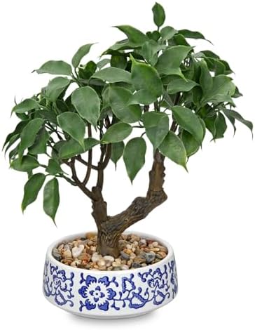 Artificial Bonsai Tree, Small Ficus Bonsai Tree 13" Indoor Bonsai Tree by Oairse