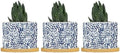 Navy Leopard Print Ceramic Planters African Animal White Blue Plant Live Indoor with Pot with Drainage Holes and Saucers Pot for Pots Outdoor Indoor Plants by BRUYU5SE
