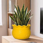 Ceramic Plant Pots Indoor, 10 Inch Large Planter, Yellow - Image 5