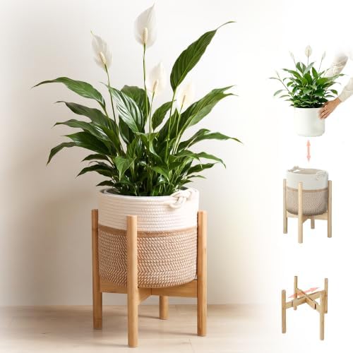 Flower Pot Rattan Plant Stand Planter with Stand, Tall Indoor Boho Woven Wicker Storage Basket with Adjustable Wood Shelf (White & Brown) by Unknown