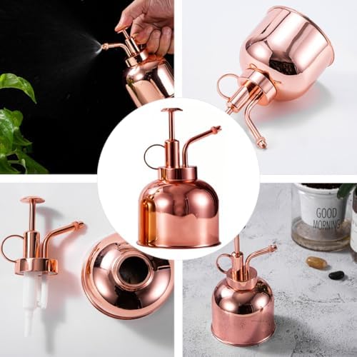 Vintage 300ml Watering Bottle with Pump Stainless Steel Sprayer for Plants - Image 4