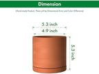 D'vine Dev 2-Pack Terracotta Plant Pots with Saucers, 5 Inch, 40-X-B-2 - Image 3