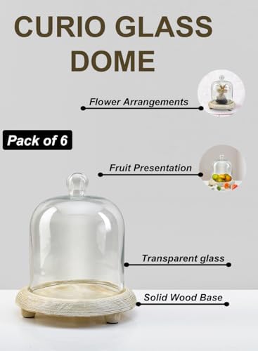 Serene Spaces Living Curio Glass Dome with Natural Wooden Base, Airplants, Flower, Accessories, Photos, Candles, Dessert Display, Home, Office Decor, Gift Idea - 8" Diameter & 9.25" Tall, Pack of 6 - Image 6