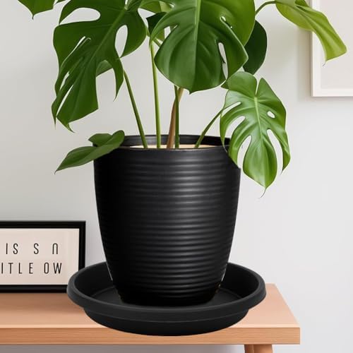 NIMYAU 2 Pack Large Plant Saucer 20 Inch, Extra-Large Deep Plant Trays for Pots, Plant Drip Trays, Plant Water Catcher Tray for Plants, Plastic Plant Saucers for Indoors no Holes - Image 5