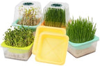 Microgreen Growing Trays, 5" x 5" Sprouting Tray with Humidity Dome, 1.2 mm Small Mesh Holes, BPA Free, Sprouter Kit for Growing Mirco Seeds, Like Broccoli, Alfalfa, Radish, Clover - 6 Pack | Clear by LUVCOSY