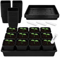 60pcs 3.5 Inch Plastic Nursery Pots and 5 Pack Seed Starter Tray by Unknown