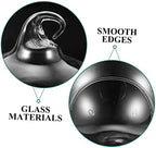 2pcs Glass Globe Hanging Terrarium Vase for Plants - Image 3