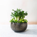 FAB HAB Sow Antique Brass Bowl Metal Planters - Large, Handmade Aluminum Pots for Indoor & Covered Outdoor Spaces, Lightweight Decorative Planters by FabHabitat