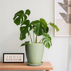 Ceramic Pots for Plants - Modern Round 8 Inch Planter with Drainage Hole and Plant Saucer for Flower Indoor Outdoor, Home Decor, House Warming Gifts, Green - Image 2