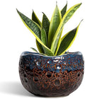 Ceramic Planter, 8 Inch Plant Pots with Drainage Hole, Brown-Blue by Thirtypot
