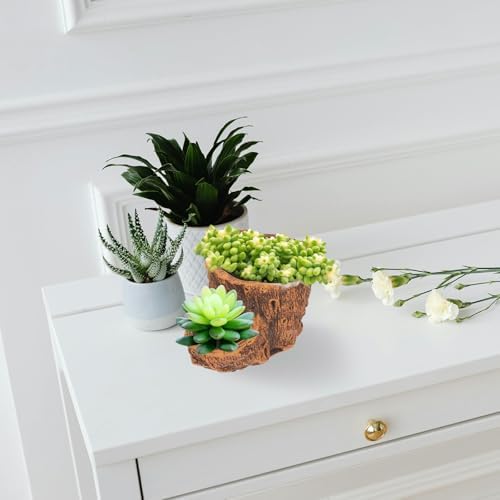 SHINEOFI Tree Stump Planter Brown Cement Pot for Succulent Cactus - Image 6