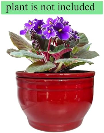 Self Watering African Violet Pots Red 6 inch - Image 5