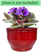 Self Watering African Violet Pots Red 6 inch - Image 5