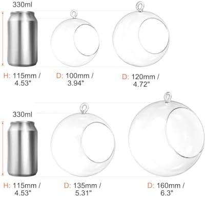 PATIKIL Round Globe Terrarium Air Plant Planter, 6.3 Inch Clear - Image 7