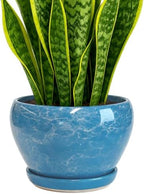 Deep Dream 8 Inch Plant Pots- Ceramic Pots for Plants with Drainage Hole and Saucer, Large Planter Pot for Indoor Plants Outdoor Decor, Gemstone Blue by DeepDream