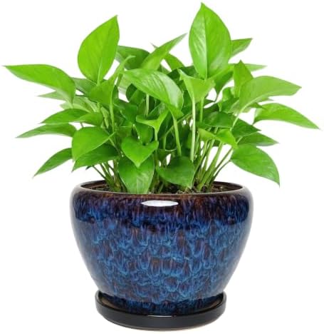 Ceramic Planter with Saucer for Indoor Outdoor Plants (Blue, 8.7 Inch) by Unknown
